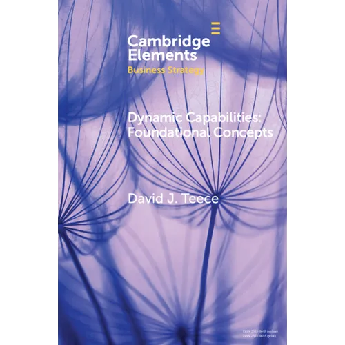 Dynamic Capabilities