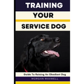 Training Your Service Dog: Guide to Raising an Obedient Dog
