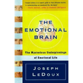 The Emotional Brain: The Mysterious Underpinnings of Emotional Life