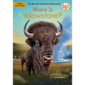 Where Is Yellowstone?
