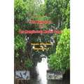 The Mangroves & The Manglicolous Marine Fungi