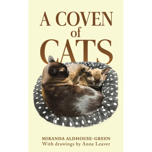 A Coven of Cats