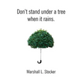 Don't Stand Under a Tree When It Rains