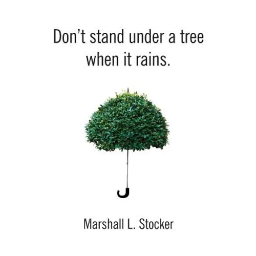 Don't Stand Under a Tree When It Rains