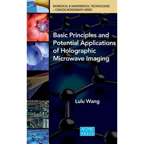 Basic Principles and Potential Applications of Holographic Microwave Imaging