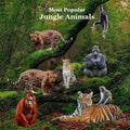 Most Popular Jungle Animals Kids Book: Great Children's Book About Animals of the Jungle