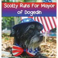 Scotty Runs For Mayor of Dogedin