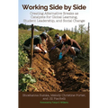Working Side by Side: Creating Alternative Breaks as Catalysts for Global Learning, Student Leadership, and Social Change
