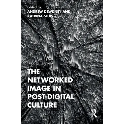 The Networked Image in Post-Digital Culture