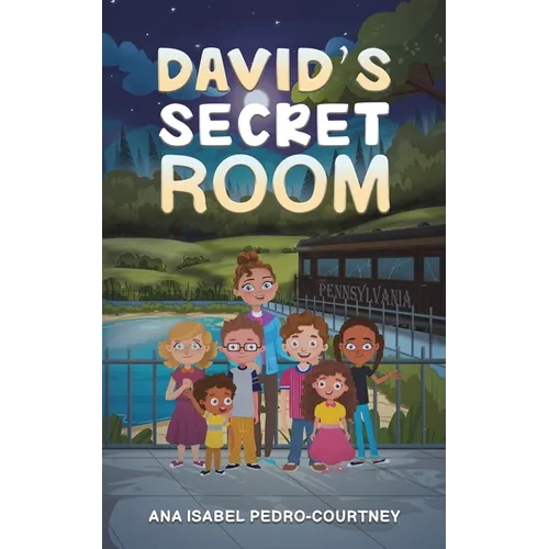 David's Secret Room