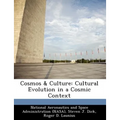 Cosmos & Culture: Cultural Evolution in a Cosmic Context
