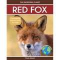 Red Fox: Fascinating Animal Facts for Kids