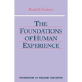 The Foundations of Human Experience: (Cw 293 & 66) Volume 1