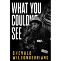 What You Couldn't See: A 9/11 First Responder's Untold Story of Surviving the Collapse and Surviving What Came After
