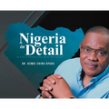 Nigeria in Detail: An X-ray of Burning Issues and the Way Forward