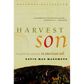Harvest Son: Planting Roots in American Soil