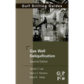 Gas Well Deliquification