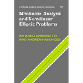 Nonlinear Analysis and Semilinear Elliptic Problems