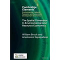 The Spatial Dimension In Environmental and Resource Economics
