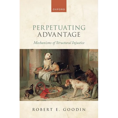 Perpetuating Advantage: Mechanisms of Structural Injustice