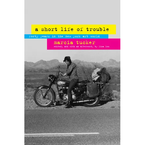 A Short Life of Trouble: Forty Years in the New York Art World