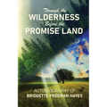 Through the Wilderness Before the Promise Land