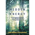 Hidden Energy: Tesla-inspired inventors and a mindful path to energy abundance
