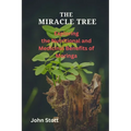 The Miracle Tree: Exploring the nutritional and medicinal benefits of moringa