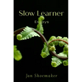 Slow Learner