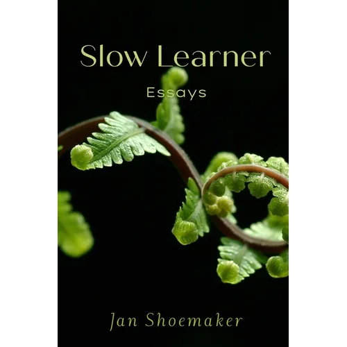 Slow Learner