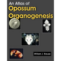 An Atlas of Opossum Organogenesis: Opossum Development