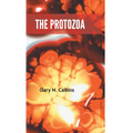 The Protozoa