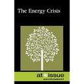AI: The Energy Crisis -P