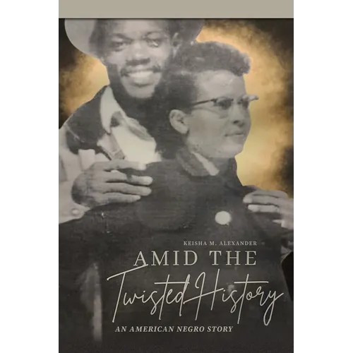 Amid the Twisted History: An American Negro Story