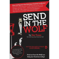 Send in the Wolf: The Good Guys' Mr. Wolf