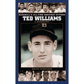Ted Williams: A Biography