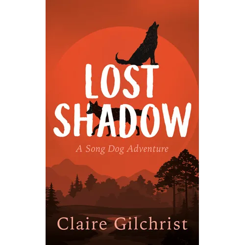 Lost Shadow