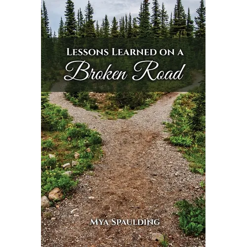 Lessons Learned on a Broken Road