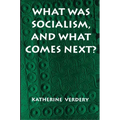 What Was Socialism, and What Comes Next?