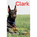 Clark: The Velcro Dog That Stuck to My Heart