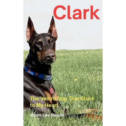 Clark: The Velcro Dog That Stuck to My Heart
