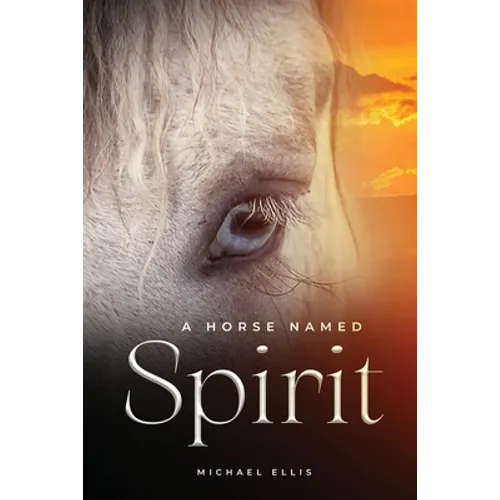 A Horse Named Spirit