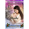 Noelle - A Baby for Christmas