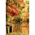Upstate - A North American Journal