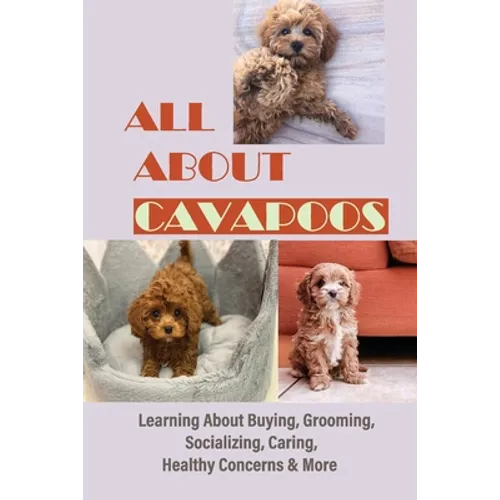 All About Cavapoos: Learning About Buying, Grooming, Socializing, Caring, Healthy Concerns & More: How To Breed Cavapoo