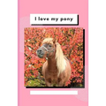 I Love My Pony: Write and Draw About Your Pony