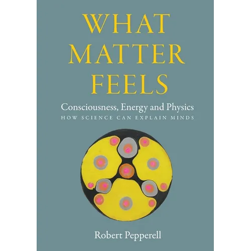 What Matter Feels: Consciousness, Energy and Physics (How Science can Explain Minds)