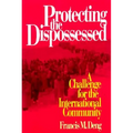 Protecting the Dispossessed: A Challenge for the International Community