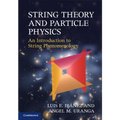 String Theory and Particle Physics