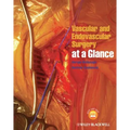 Vascular and Endovascular Surgery at a Glance